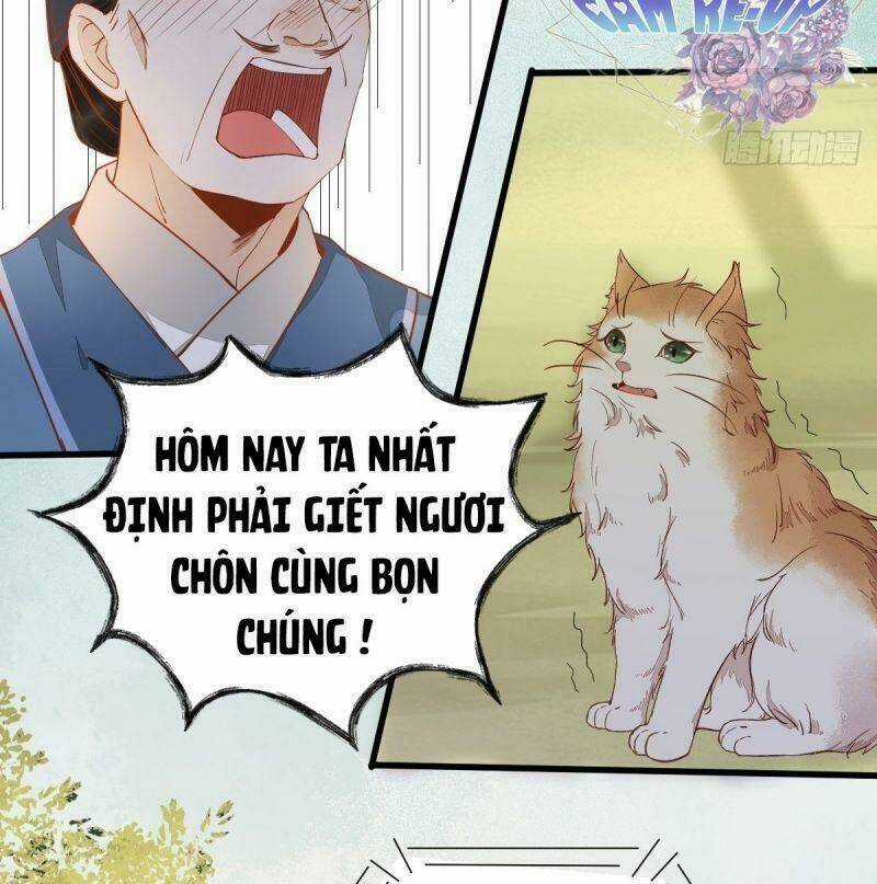 Sát Thủ Vương Phi Không Dễ Chọc Chapter 37 trang 25