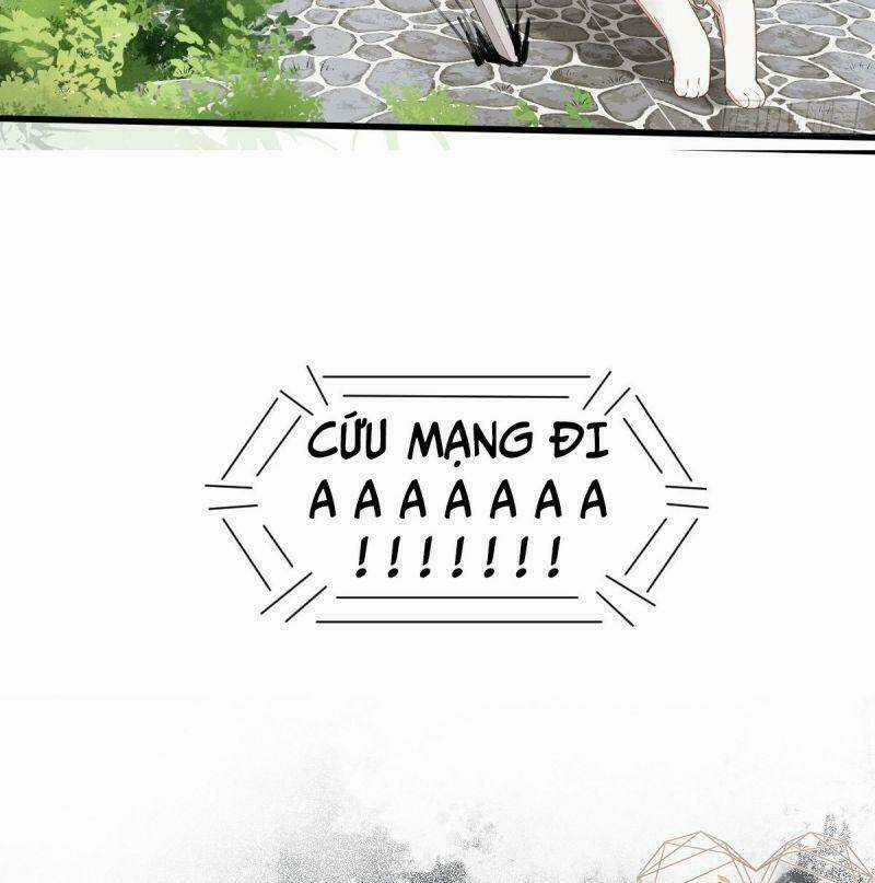 Sát Thủ Vương Phi Không Dễ Chọc Chapter 37 trang 27