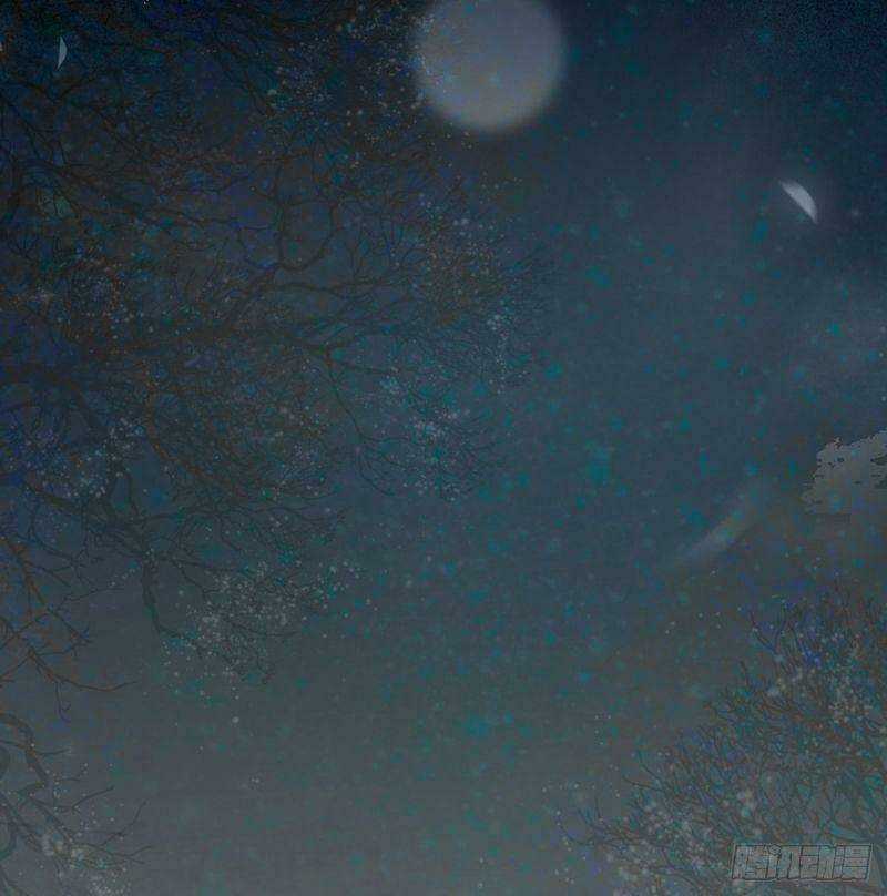 Sát Thủ Vương Phi Không Dễ Chọc Chapter 37 trang 29