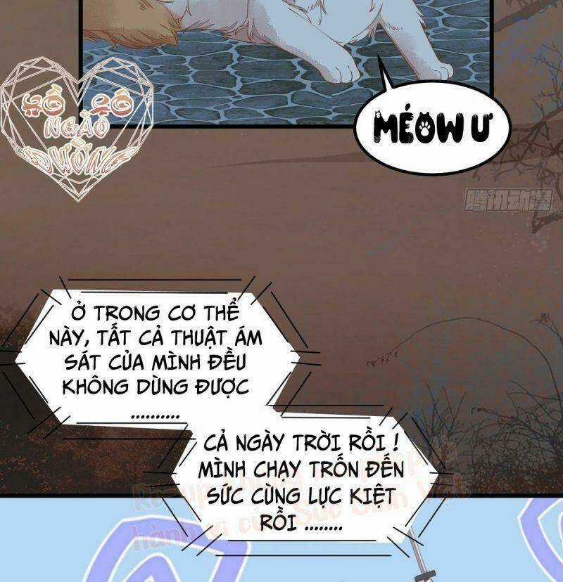 Sát Thủ Vương Phi Không Dễ Chọc Chapter 37 trang 31