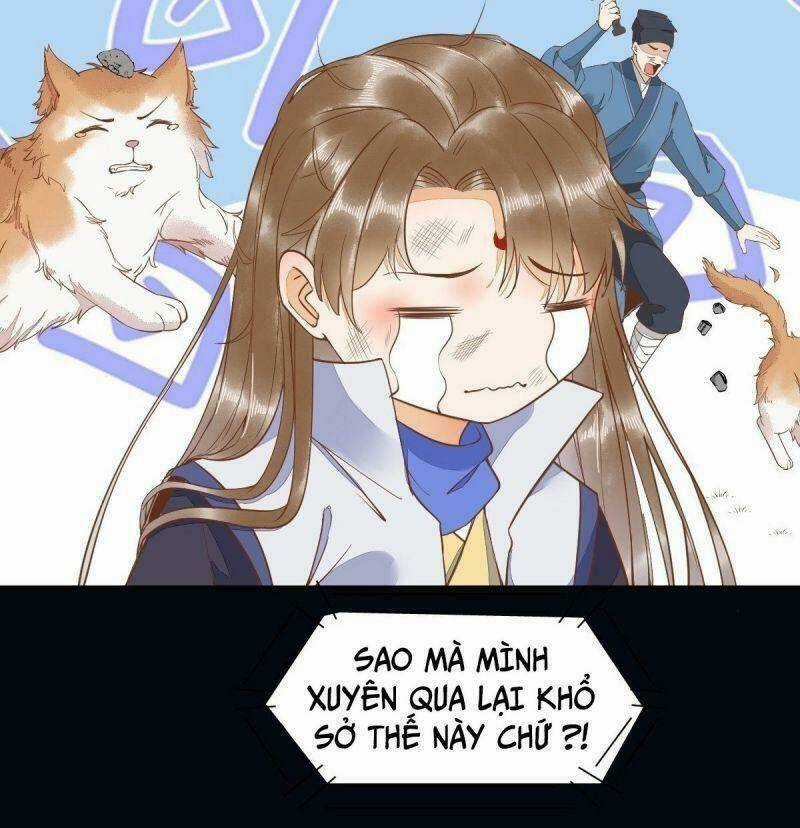 Sát Thủ Vương Phi Không Dễ Chọc Chapter 37 trang 32