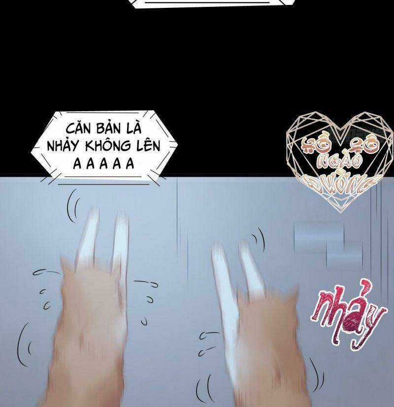 Sát Thủ Vương Phi Không Dễ Chọc Chapter 37 trang 37