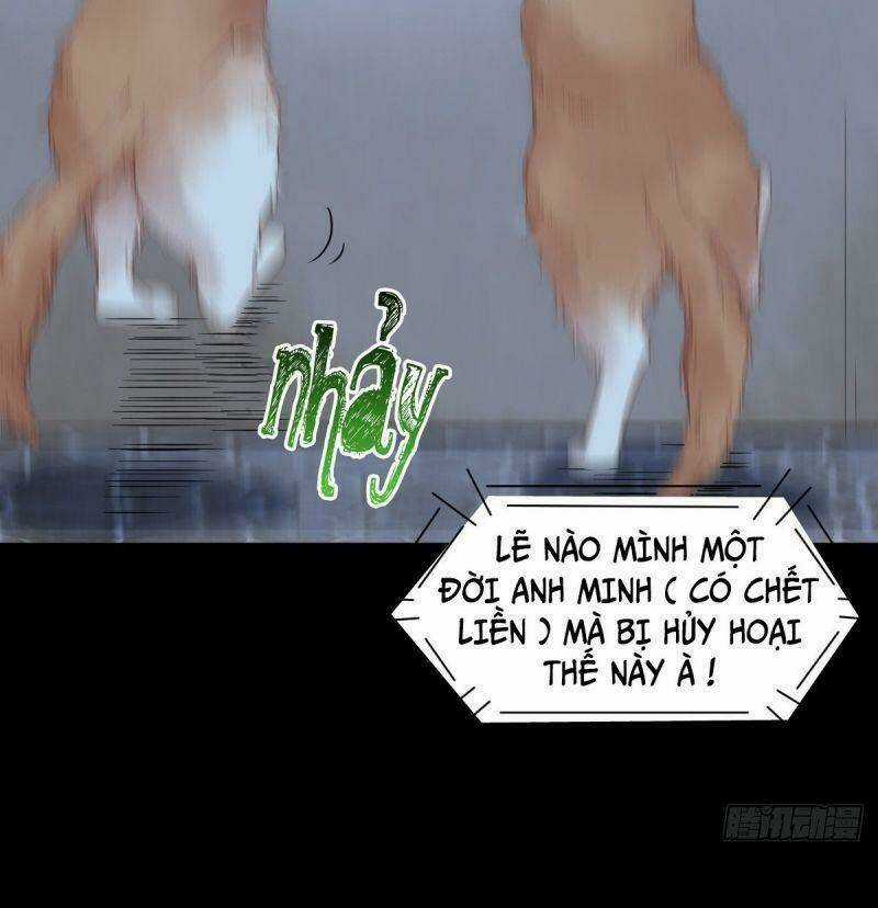 Sát Thủ Vương Phi Không Dễ Chọc Chapter 37 trang 38