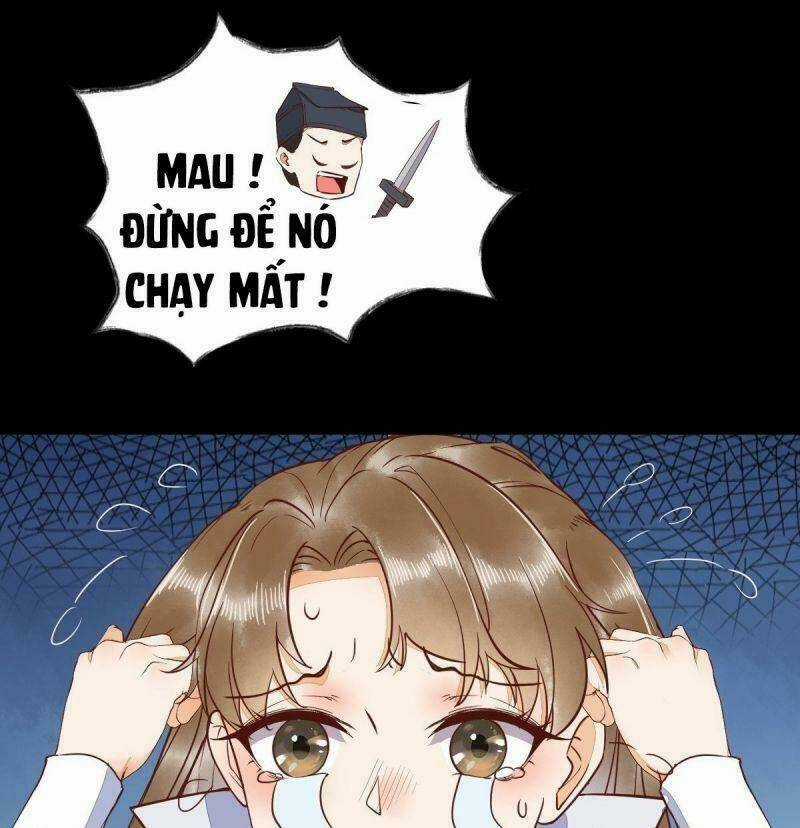 Sát Thủ Vương Phi Không Dễ Chọc Chapter 37 trang 39