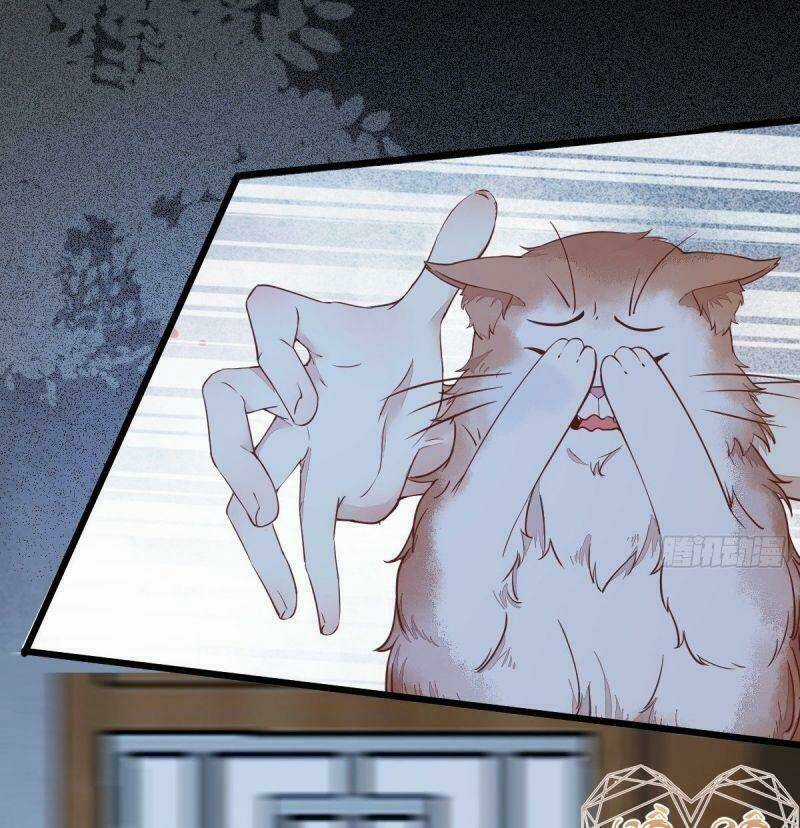 Sát Thủ Vương Phi Không Dễ Chọc Chapter 37 trang 41