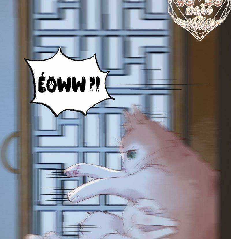 Sát Thủ Vương Phi Không Dễ Chọc Chapter 37 trang 42