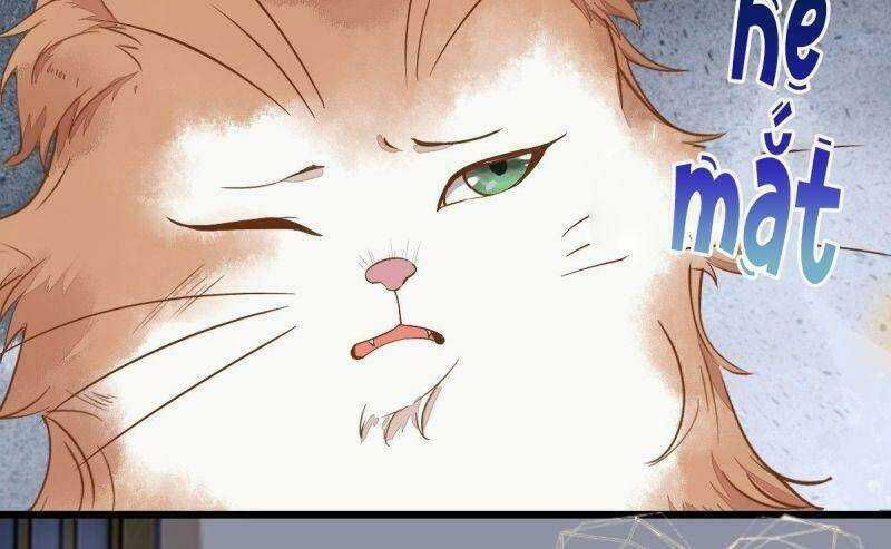 Sát Thủ Vương Phi Không Dễ Chọc Chapter 37 trang 46