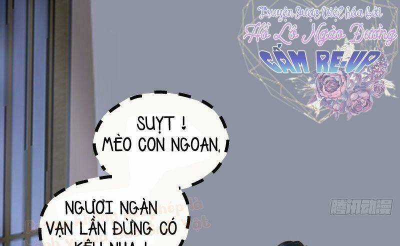 Sát Thủ Vương Phi Không Dễ Chọc Chapter 37 trang 47