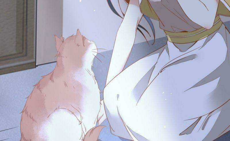 Sát Thủ Vương Phi Không Dễ Chọc Chapter 37 trang 49