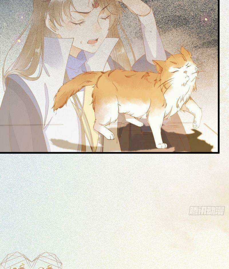 Sát Thủ Vương Phi Không Dễ Chọc Chapter 37 trang 5