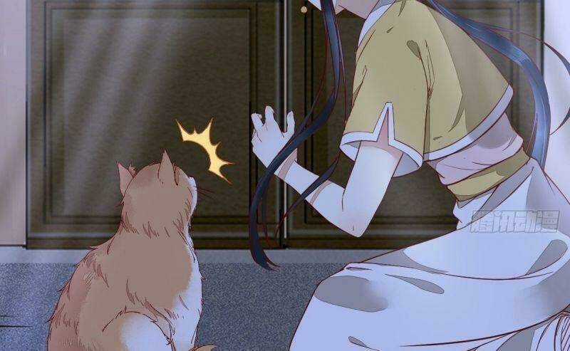 Sát Thủ Vương Phi Không Dễ Chọc Chapter 37 trang 56