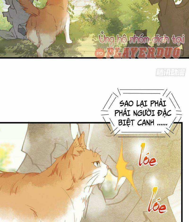 Sát Thủ Vương Phi Không Dễ Chọc Chapter 37 trang 7