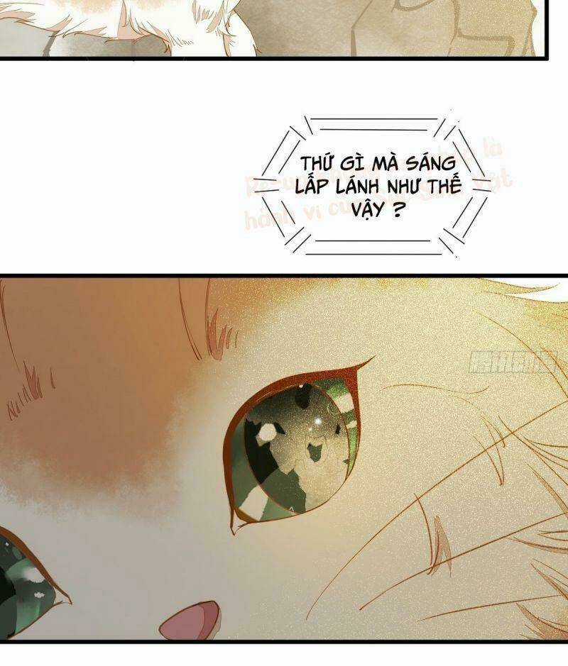 Sát Thủ Vương Phi Không Dễ Chọc Chapter 37 trang 8