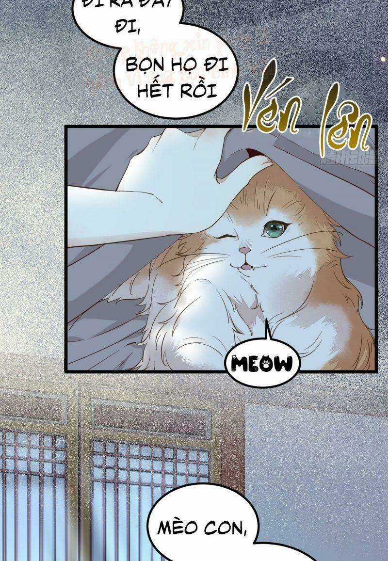 Sát Thủ Vương Phi Không Dễ Chọc Chapter 38 trang 10