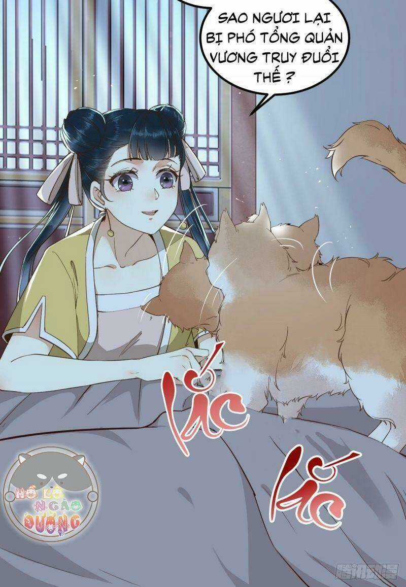 Sát Thủ Vương Phi Không Dễ Chọc Chapter 38 trang 11