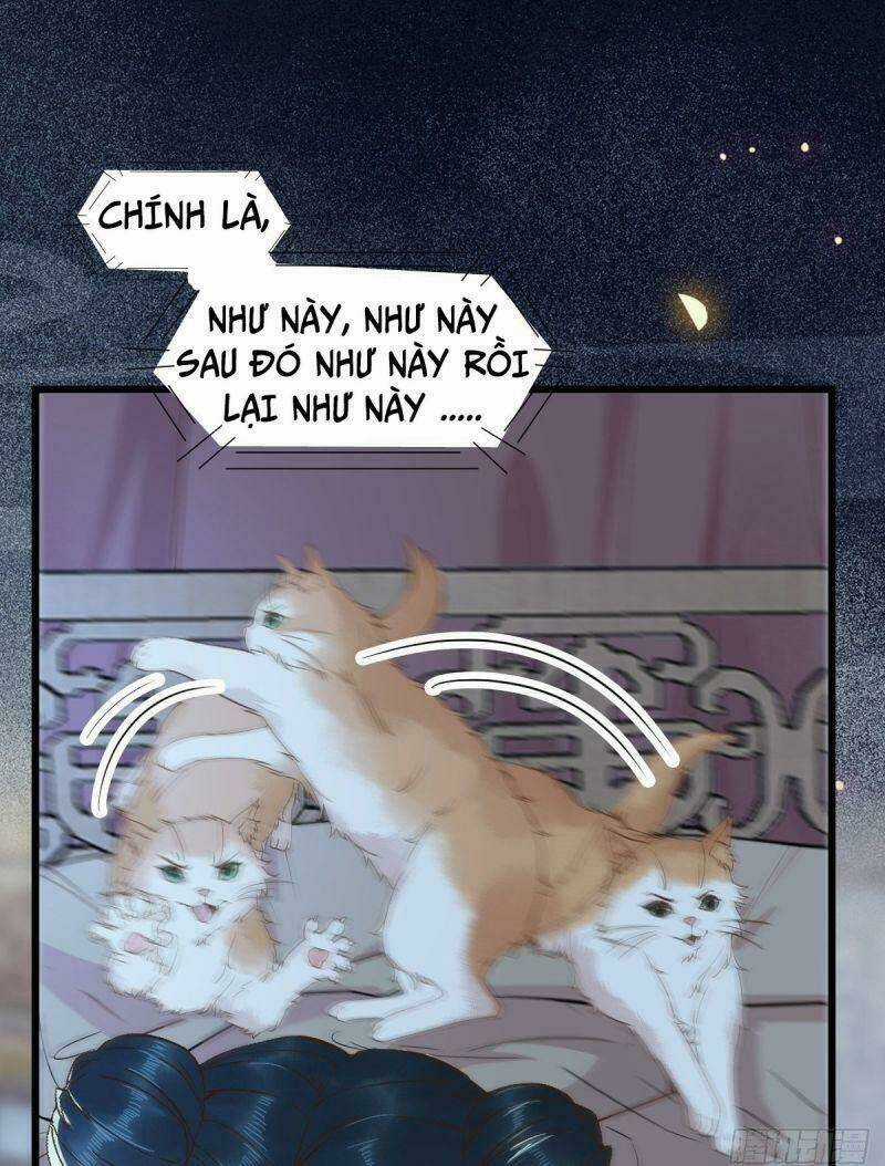 Sát Thủ Vương Phi Không Dễ Chọc Chapter 38 trang 12