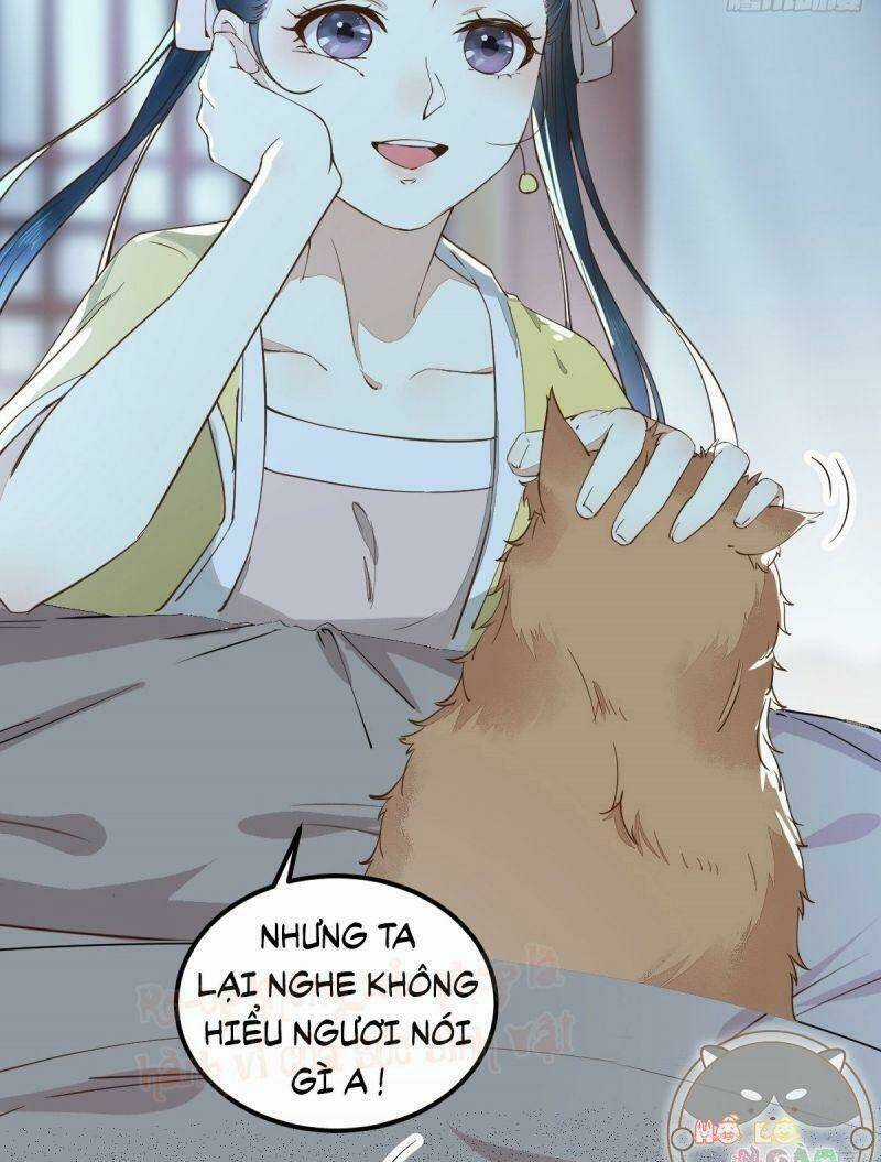 Sát Thủ Vương Phi Không Dễ Chọc Chapter 38 trang 14