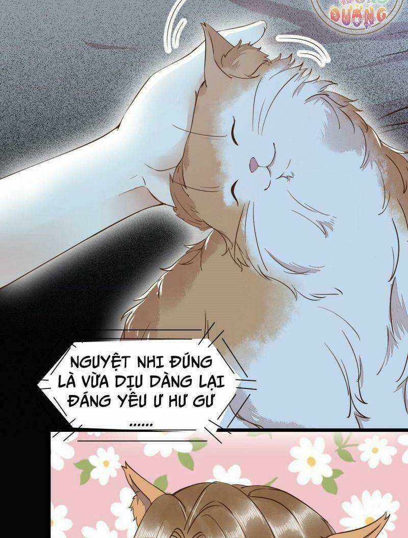 Sát Thủ Vương Phi Không Dễ Chọc Chapter 38 trang 15