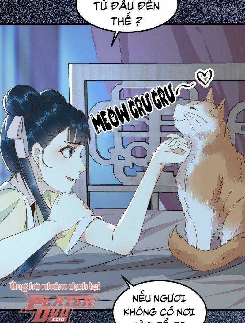 Sát Thủ Vương Phi Không Dễ Chọc Chapter 38 trang 17