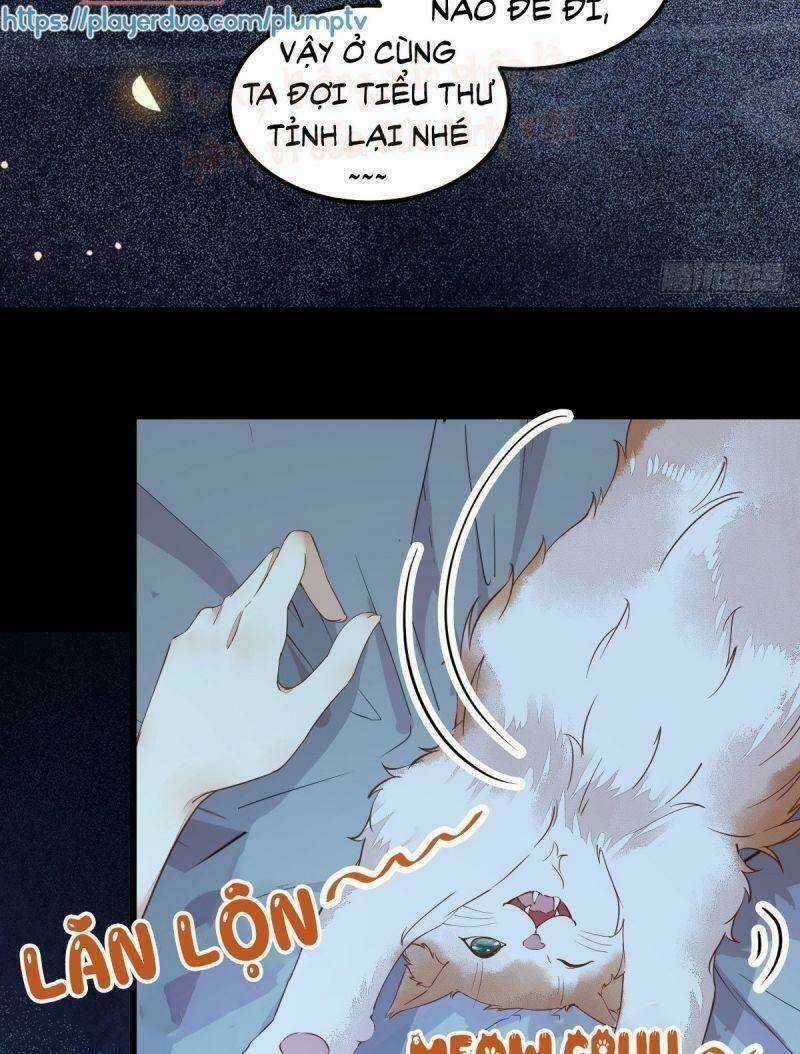 Sát Thủ Vương Phi Không Dễ Chọc Chapter 38 trang 18