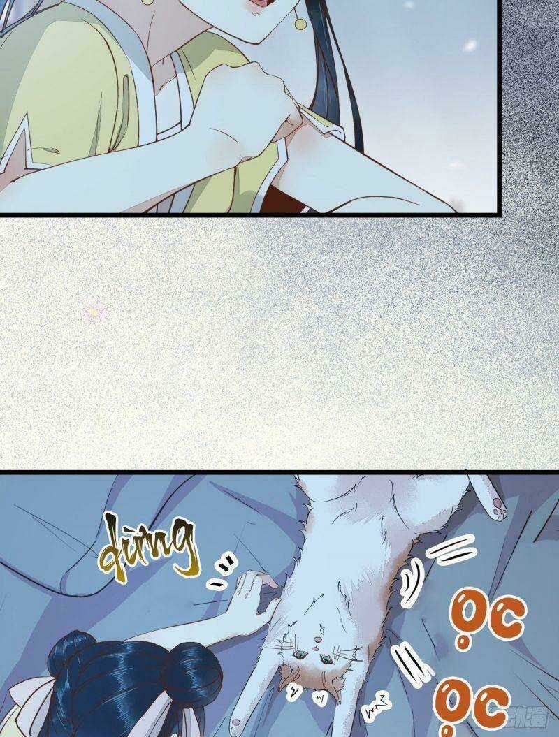 Sát Thủ Vương Phi Không Dễ Chọc Chapter 38 trang 20