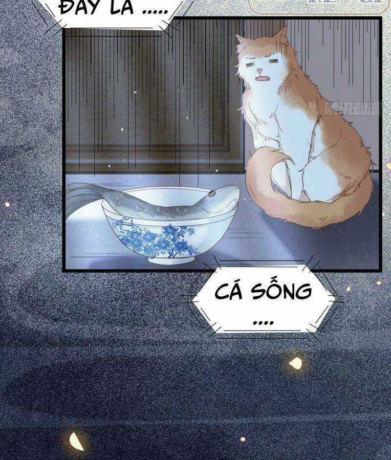 Sát Thủ Vương Phi Không Dễ Chọc Chapter 38 trang 26