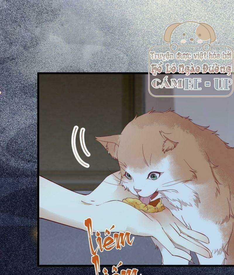 Sát Thủ Vương Phi Không Dễ Chọc Chapter 38 trang 31