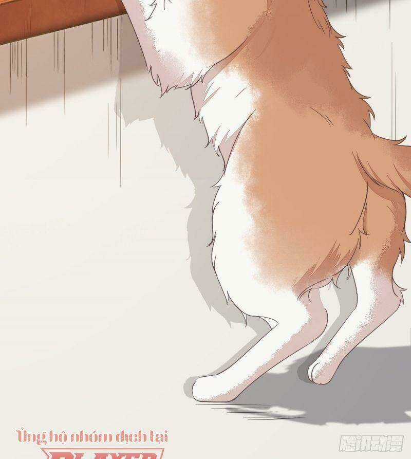 Sát Thủ Vương Phi Không Dễ Chọc Chapter 38 trang 40