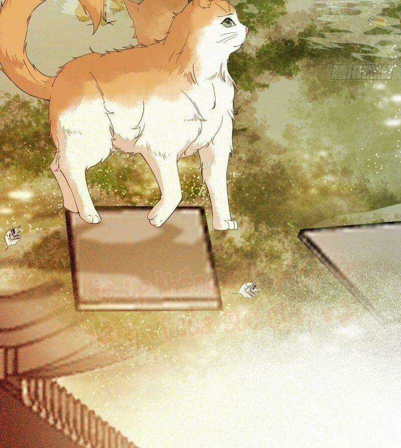 Sát Thủ Vương Phi Không Dễ Chọc Chapter 38 trang 42