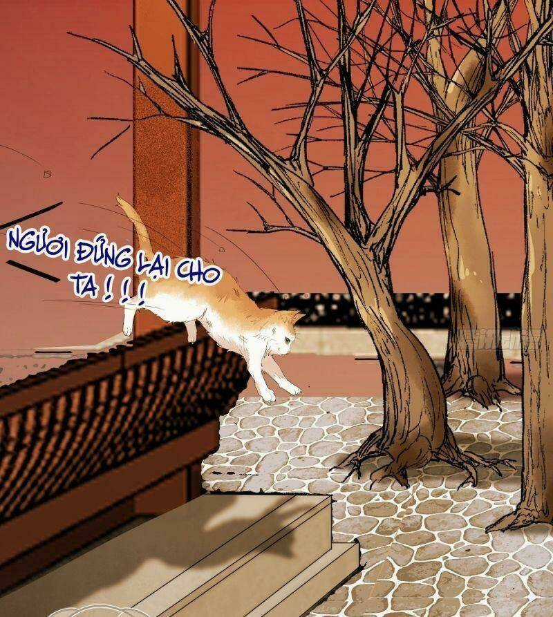 Sát Thủ Vương Phi Không Dễ Chọc Chapter 38 trang 44