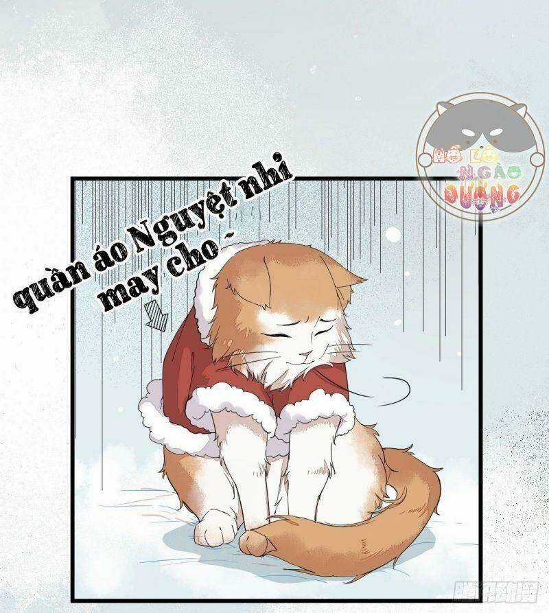 Sát Thủ Vương Phi Không Dễ Chọc Chapter 38 trang 47