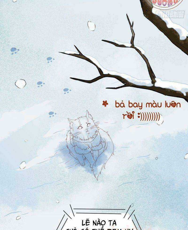 Sát Thủ Vương Phi Không Dễ Chọc Chapter 38 trang 49