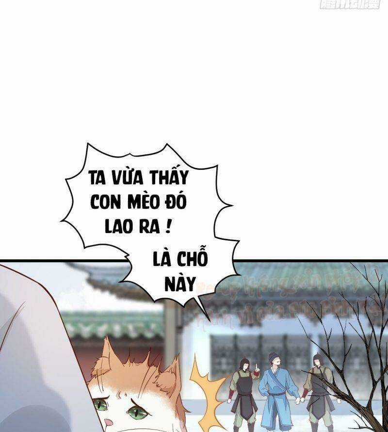 Sát Thủ Vương Phi Không Dễ Chọc Chapter 39 trang 12