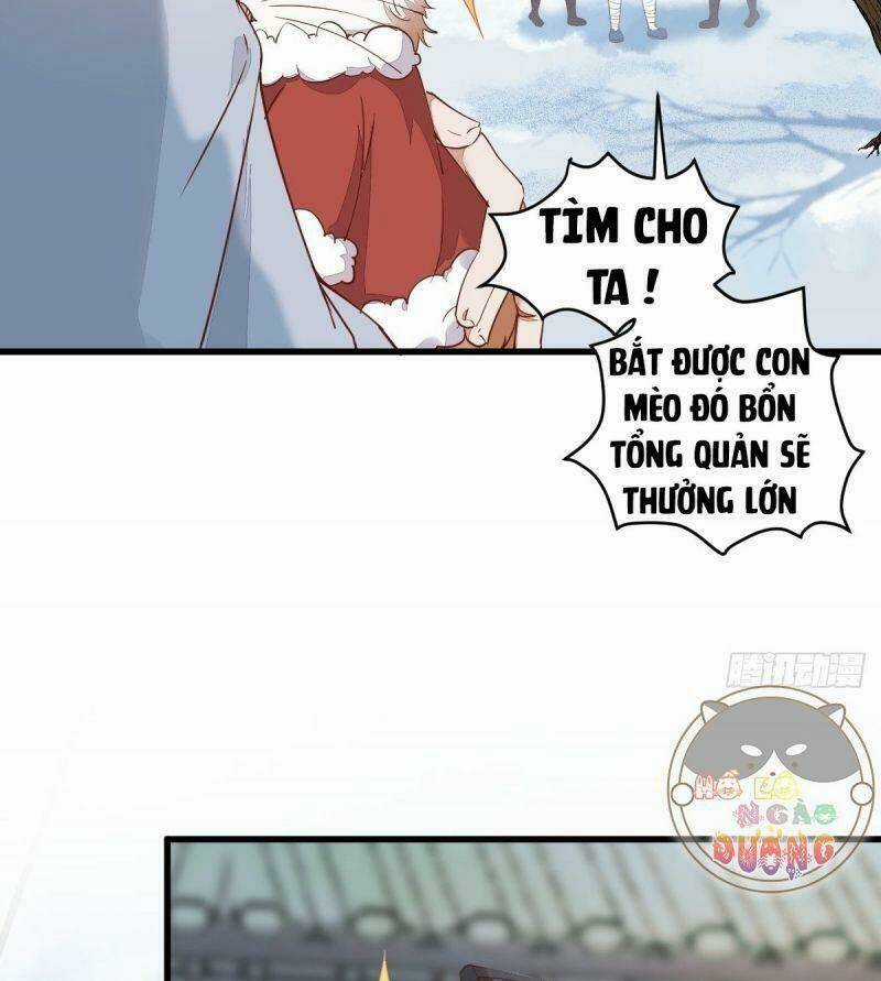 Sát Thủ Vương Phi Không Dễ Chọc Chapter 39 trang 13