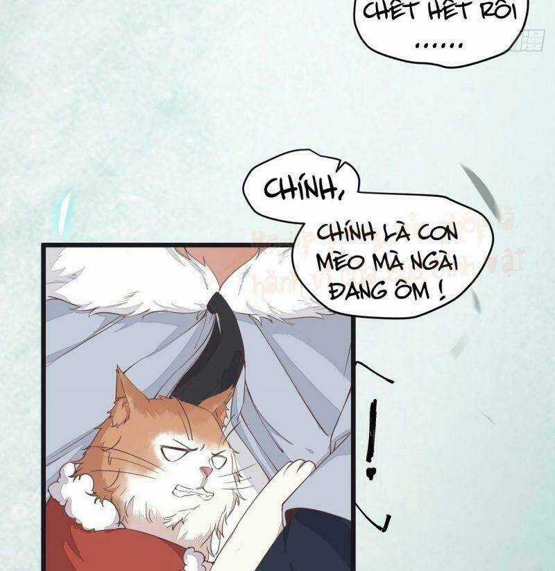 Sát Thủ Vương Phi Không Dễ Chọc Chapter 39 trang 21