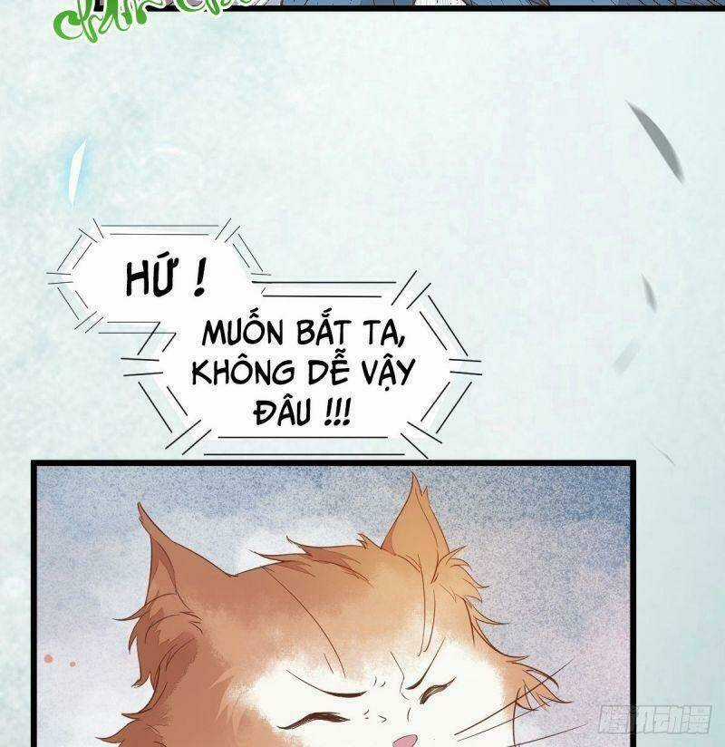 Sát Thủ Vương Phi Không Dễ Chọc Chapter 39 trang 29