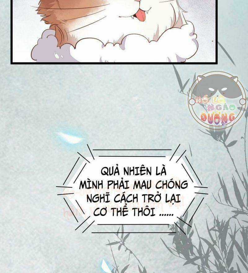 Sát Thủ Vương Phi Không Dễ Chọc Chapter 39 trang 30