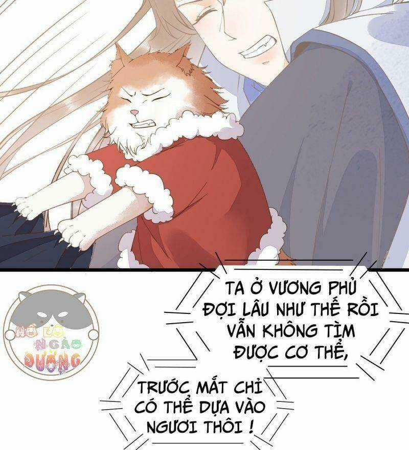 Sát Thủ Vương Phi Không Dễ Chọc Chapter 39 trang 39