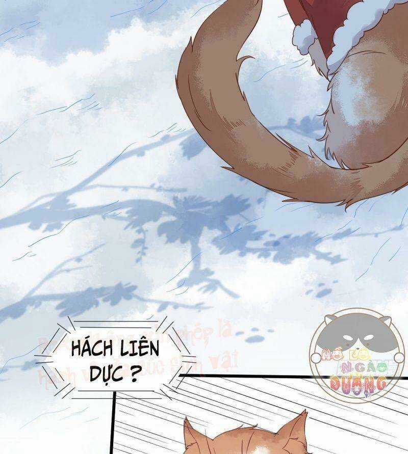 Sát Thủ Vương Phi Không Dễ Chọc Chapter 39 trang 4