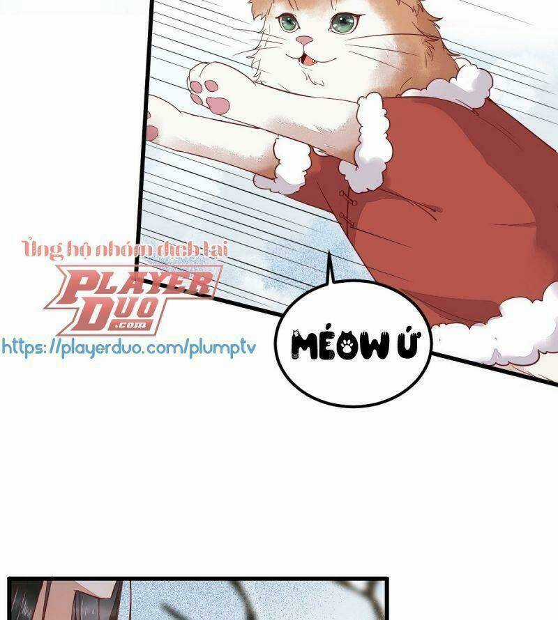 Sát Thủ Vương Phi Không Dễ Chọc Chapter 39 trang 5