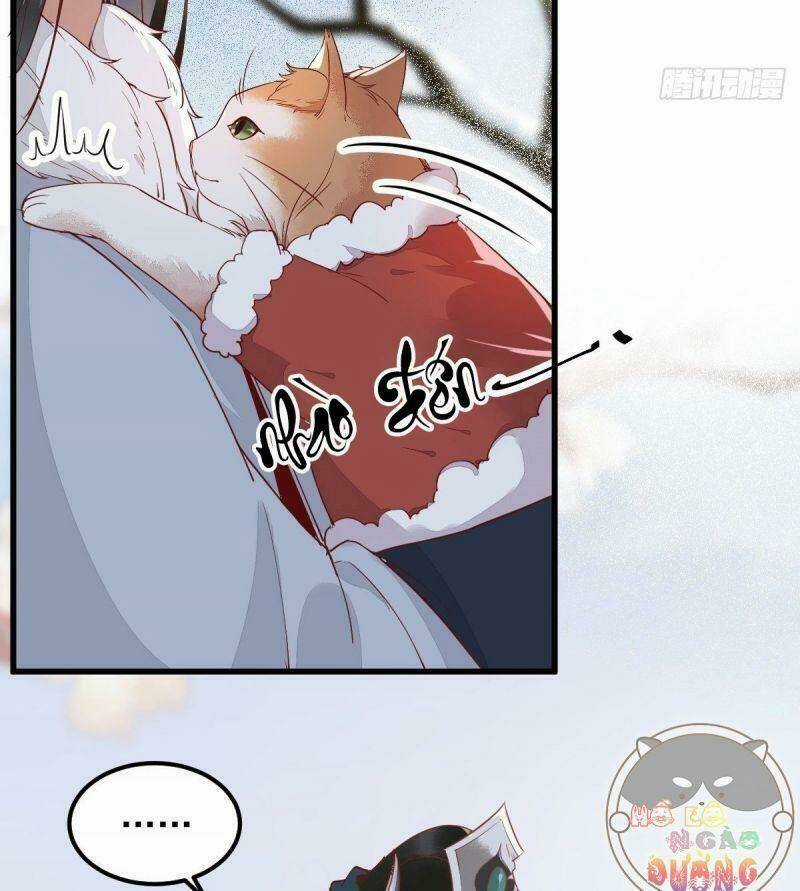 Sát Thủ Vương Phi Không Dễ Chọc Chapter 39 trang 6