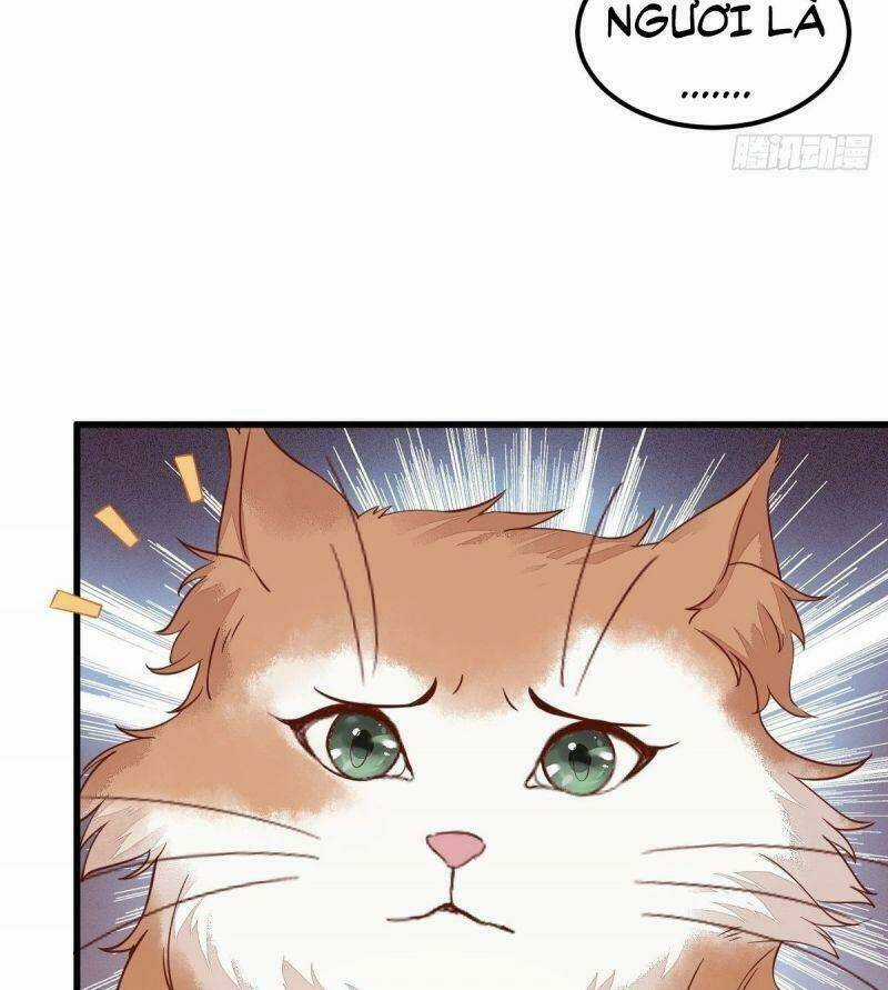 Sát Thủ Vương Phi Không Dễ Chọc Chapter 39 trang 8