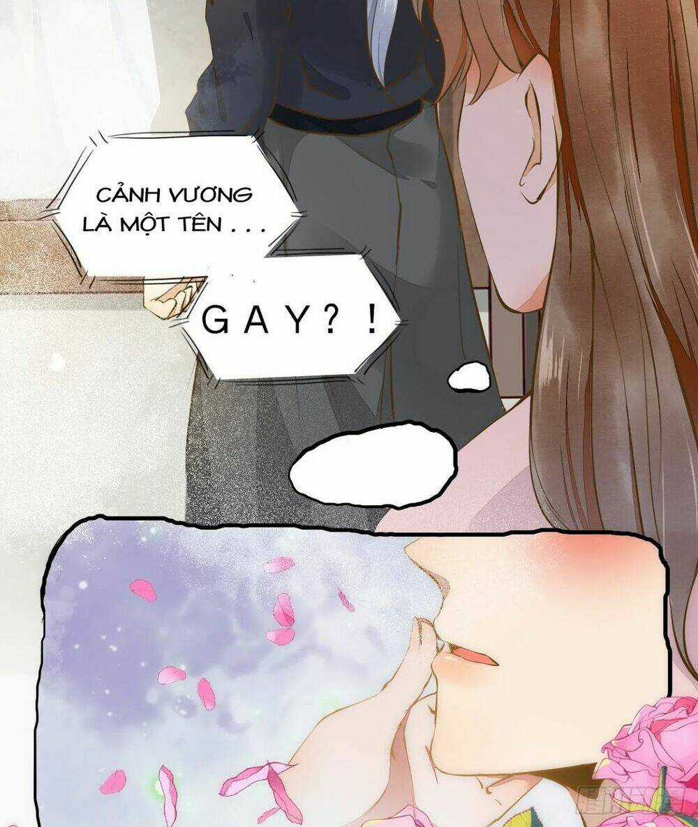 Sát Thủ Vương Phi Không Dễ Chọc Chapter 4.5 trang 10