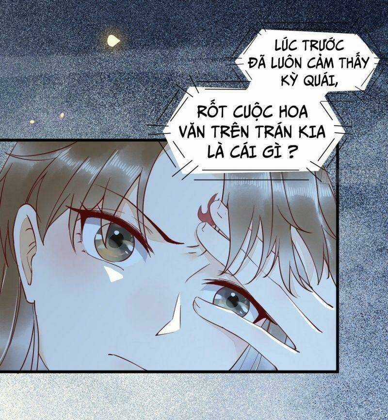 Sát Thủ Vương Phi Không Dễ Chọc Chapter 40 trang 11