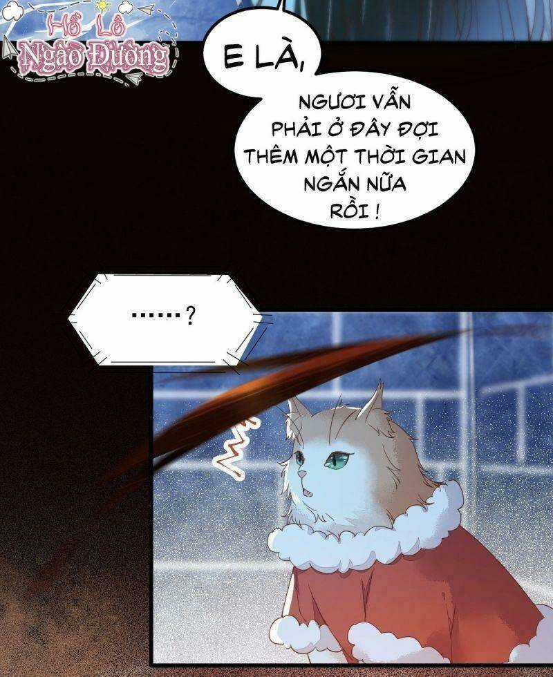 Sát Thủ Vương Phi Không Dễ Chọc Chapter 40 trang 23