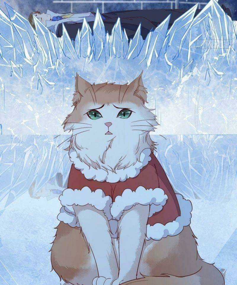 Sát Thủ Vương Phi Không Dễ Chọc Chapter 40 trang 31