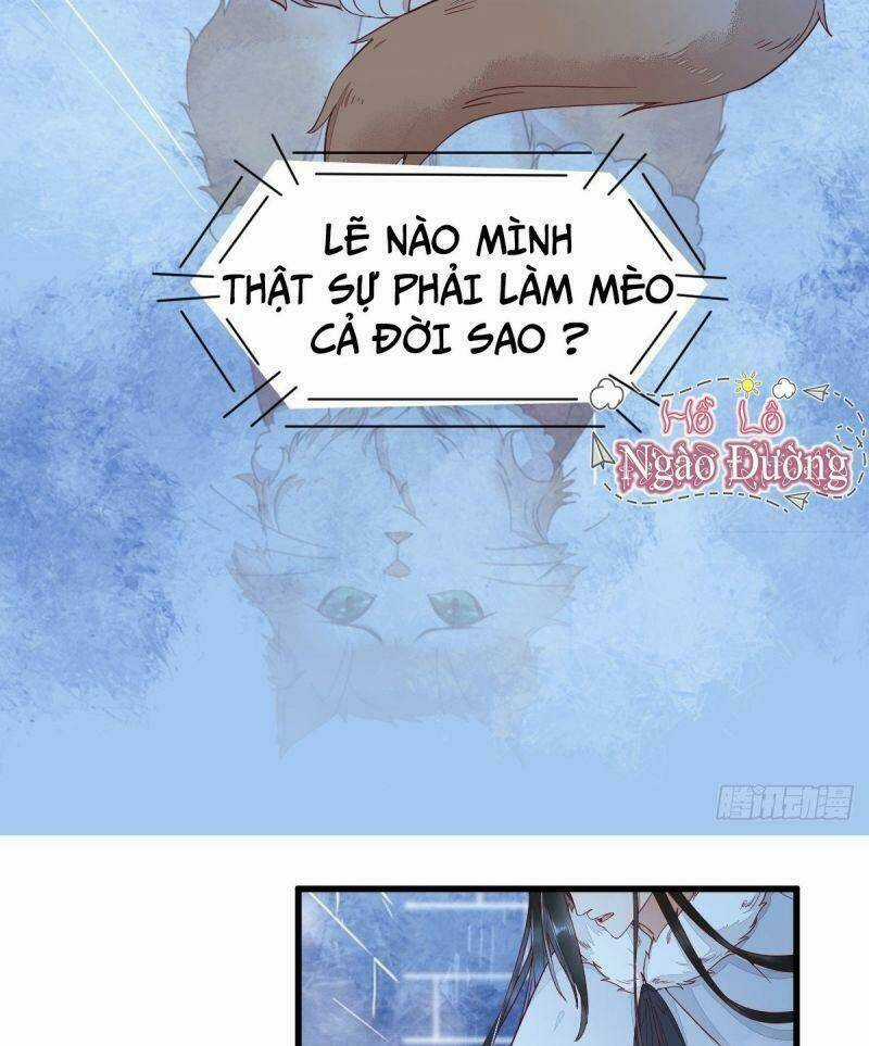 Sát Thủ Vương Phi Không Dễ Chọc Chapter 40 trang 32