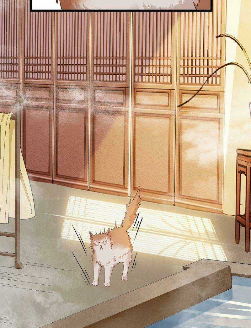 Sát Thủ Vương Phi Không Dễ Chọc Chapter 40 trang 45