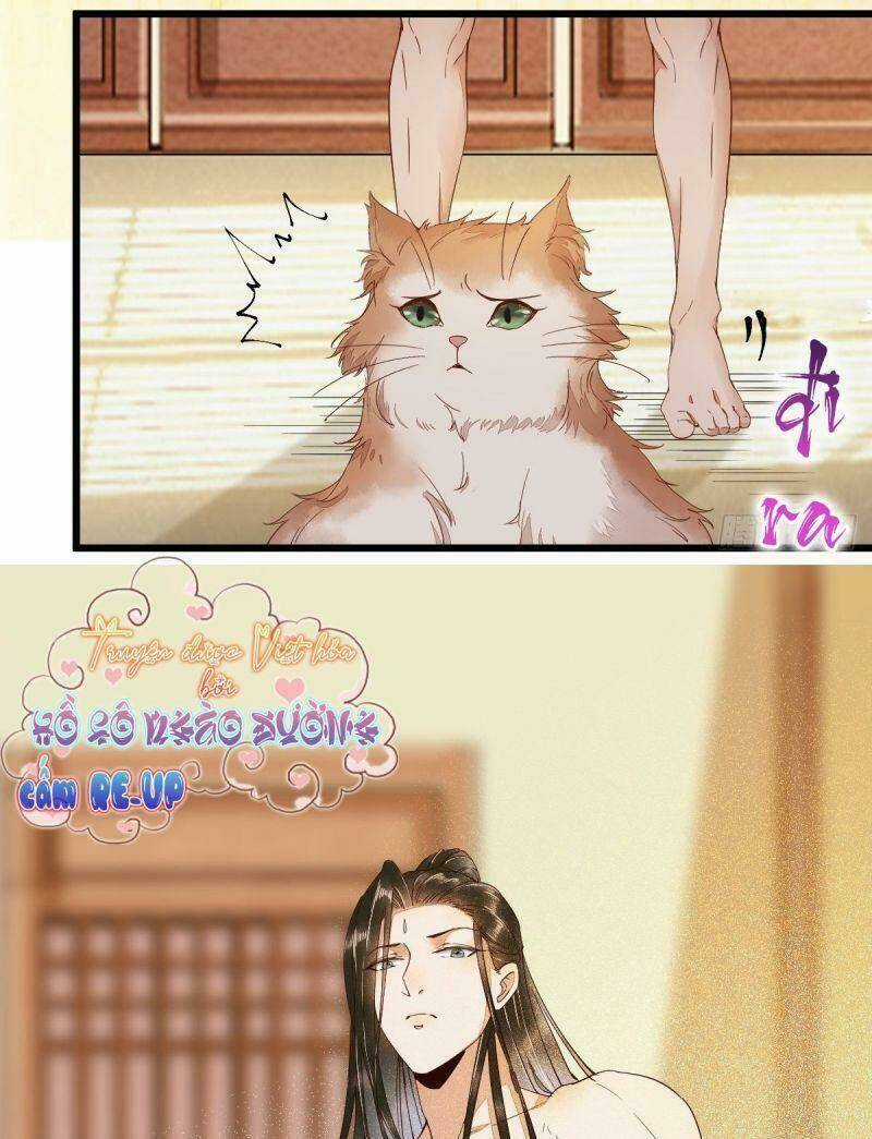 Sát Thủ Vương Phi Không Dễ Chọc Chapter 40 trang 47