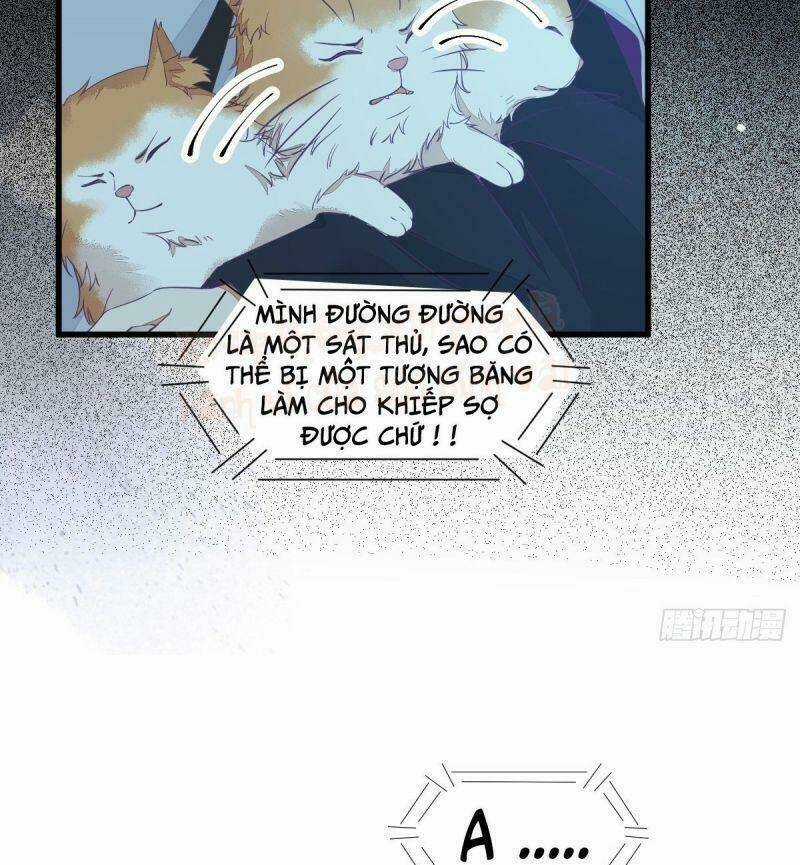 Sát Thủ Vương Phi Không Dễ Chọc Chapter 40 trang 7